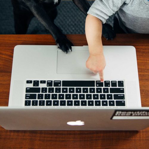 charles-deluvio-usxGRltb0Rk-unsplash